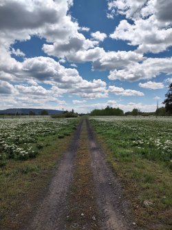 IMG_20250528_134838798_HDR.jpg