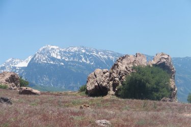 64.jpg 64.jpg