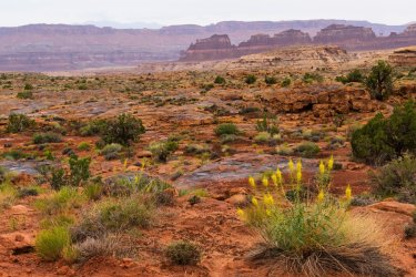 Dark Canyon 6-2025-06731.jpg