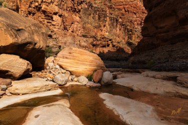 Dark Canyon 6-2025-06961-2.jpg