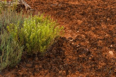 Dark Canyon 6-2025-06757.jpg