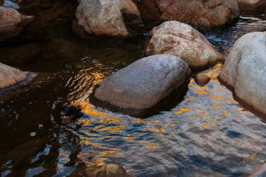 Dark Canyon 6-2025-06880-2.jpg