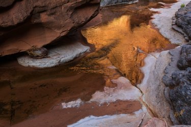 Dark Canyon 6-2025-06929-2.jpg