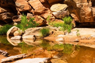 Dark Canyon 6-2025-07061-2.jpg