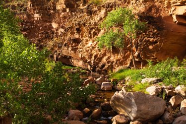 Dark Canyon 6-2025-07338-2.jpg