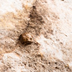 Dark Canyon 6-2025-07395-2.jpg