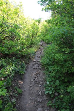 26.jpg 26.jpg