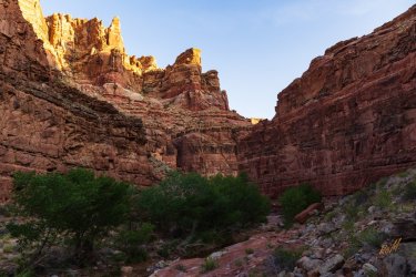 Dark Canyon 6-2025-06852-2.jpg