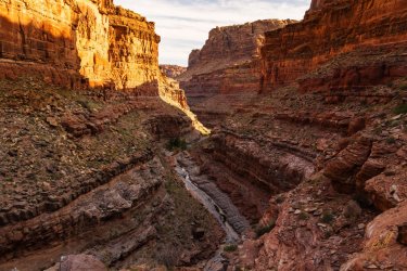 Dark Canyon 6-2025-06900-2.jpg