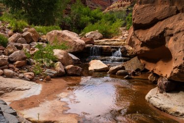 Dark Canyon 6-2025-07045-2.jpg