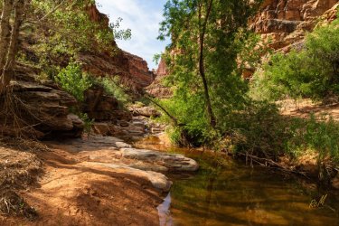 Dark Canyon 6-2025-07051-2.jpg