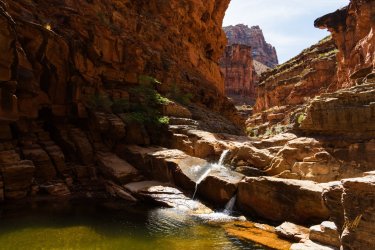 Dark Canyon 6-2025-07072-2.jpg