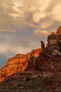 Dark Canyon 6-2025-07196-2.jpg