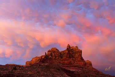 Dark Canyon 6-2025-07301-2.jpg