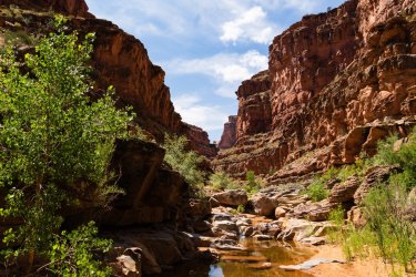 Dark Canyon 6-2025-07082-2.jpg