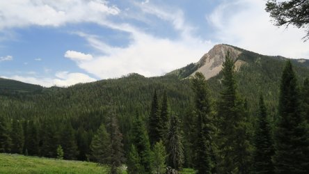 IMG_1618.JPG