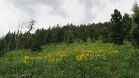 IMG_1620.JPG