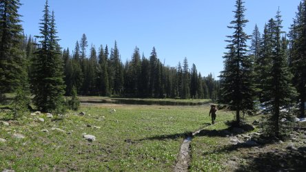 IMG_1675.JPG