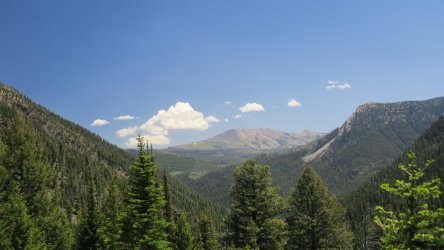 IMG_1677.JPG