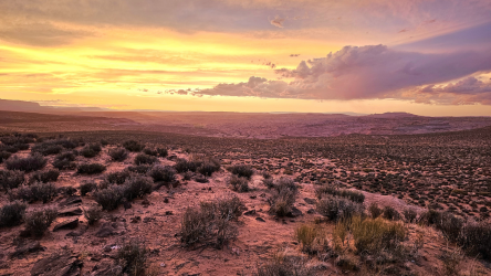 AboveCoyoteGulch_Sunset.png