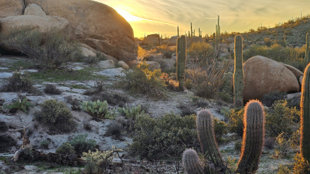 AZDesert1.png