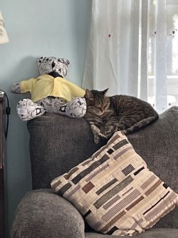 IMG_8818.jpeg