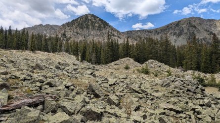 PXL_20250610_175840560.jpg PXL_20250610_175840560.jpg