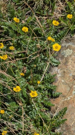 PXL_20250611_172508074.jpg PXL_20250611_172508074.jpg