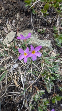 PXL_20250611_173210446.jpg PXL_20250611_173210446.jpg