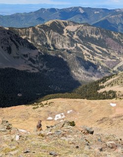 PXL_20250611_184829552~4_Large.jpg PXL_20250611_184829552~4_Large.jpg