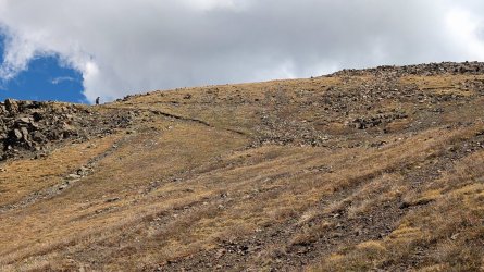 PXL_20250611_183737247.jpg PXL_20250611_183737247.jpg