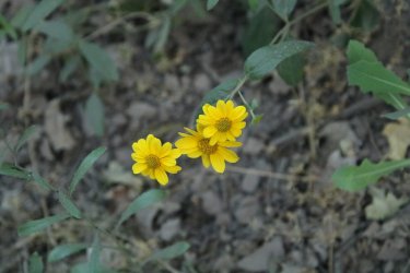 04.jpg 04.jpg