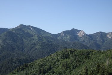 39.jpg 39.jpg
