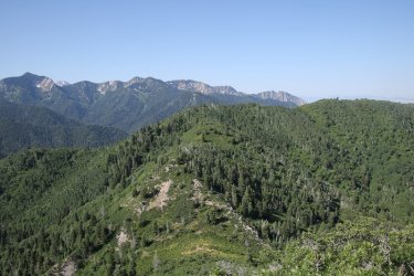 45.jpg 45.jpg