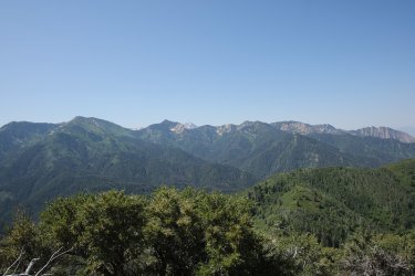 54.jpg 54.jpg