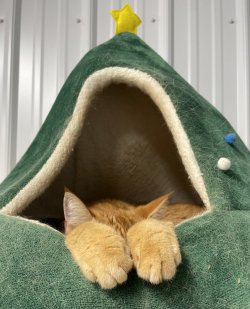 thumbnail_IMG_3211.jpg