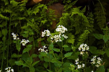 Uintas Trip 6-2025-08067.jpg