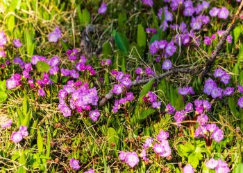Uintas Trip 6-2025-08181.jpg