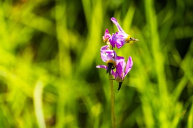 Uintas Trip 6-2025-08191.jpg
