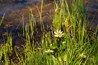 Uintas Trip 6-2025-08206.jpg