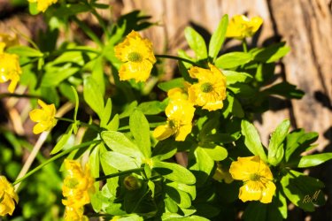 Uintas Trip 6-2025-08212.jpg