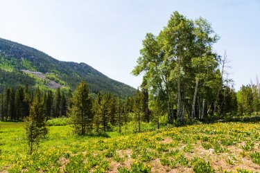 Uintas Trip 6-2025-08225.jpg