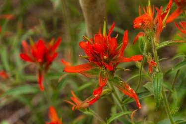 Uintas Trip 6-2025-08255.jpg