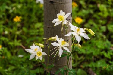 Uintas Trip 6-2025-08266.jpg