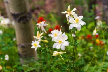 Uintas Trip 6-2025-08273.jpg