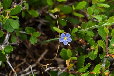 Uintas Trip 6-2025-08306.jpg