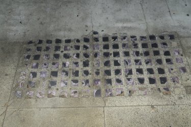 55.jpg