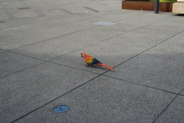 65.jpg
