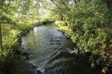 77.jpg