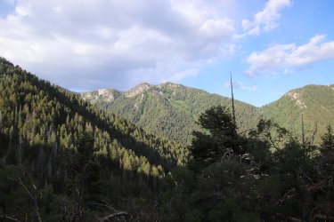 19.jpg 19.jpg